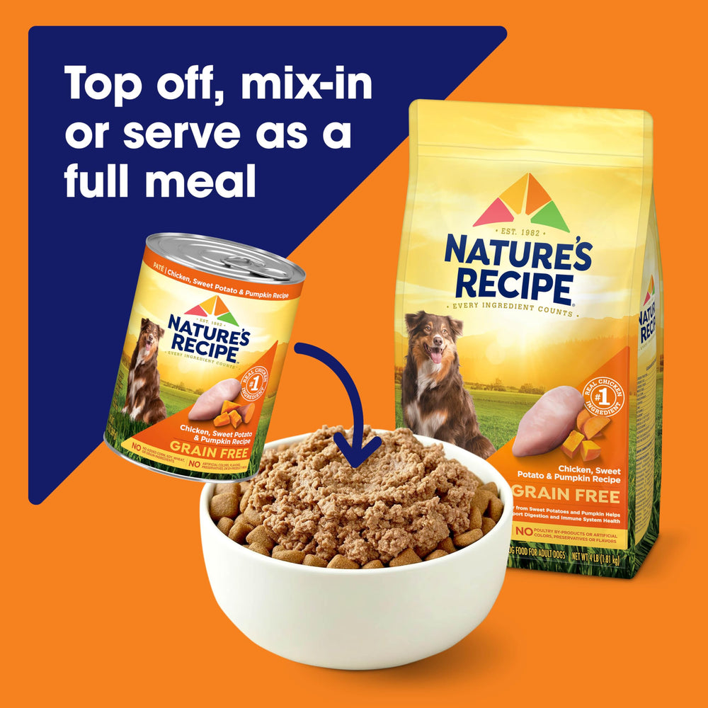 Nature's Recipe chien dégustant la pâtée, favorise appétit et plaisir du repas