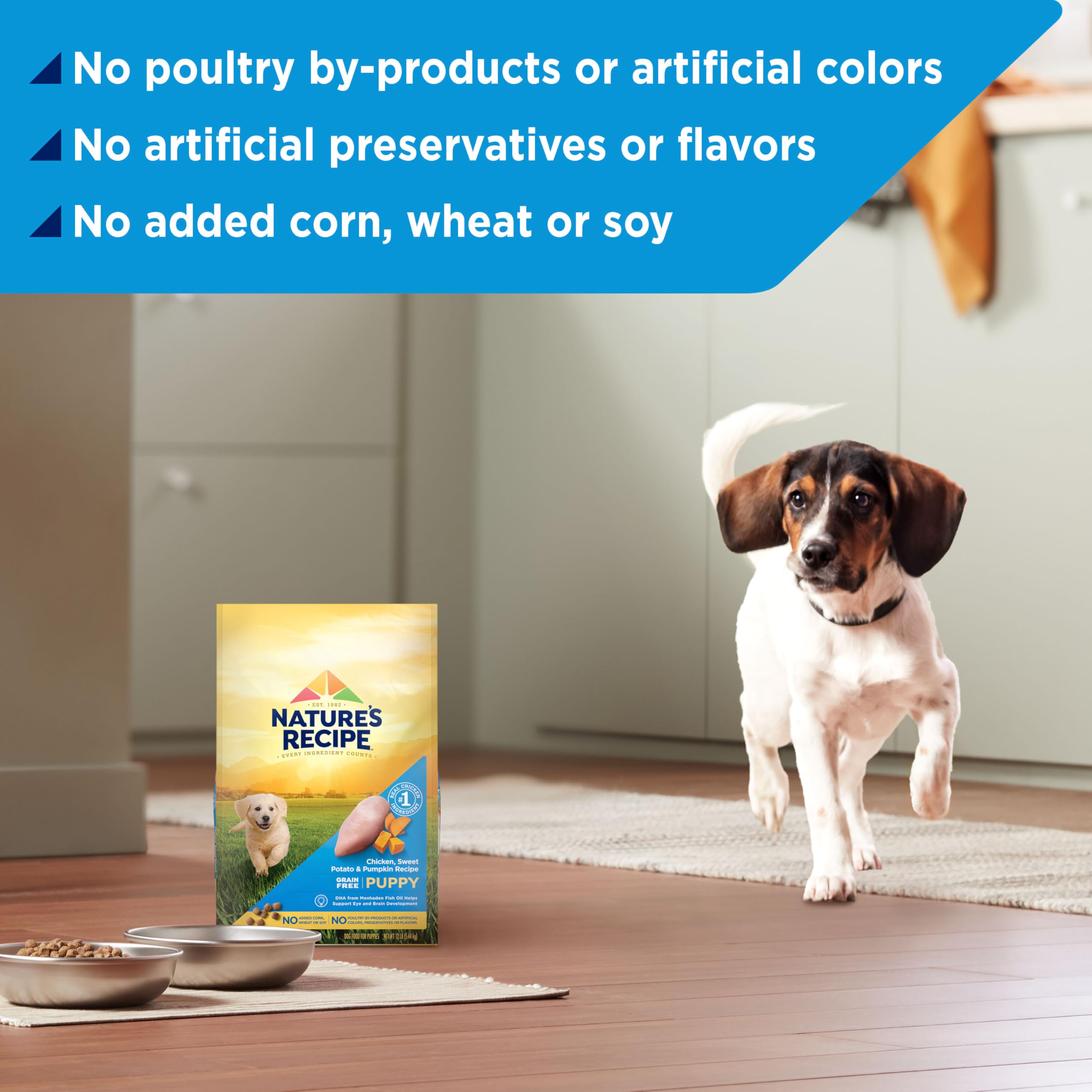 Nature's Recipe chiot mangeant avec énergie montrant acceptation