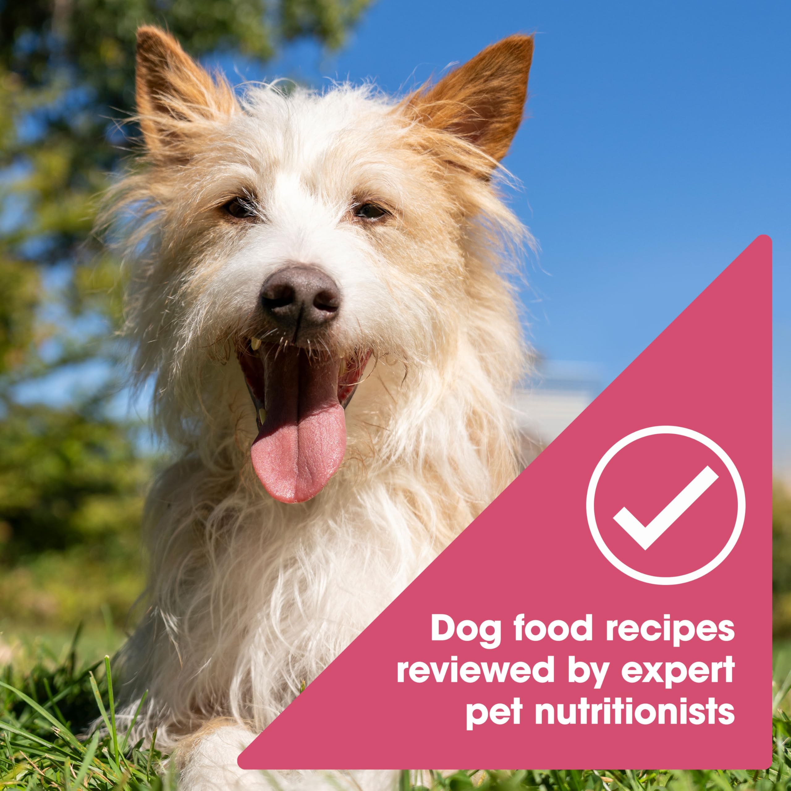 Nature's Recipe comparaison taille conserve pour évaluer portion pratique