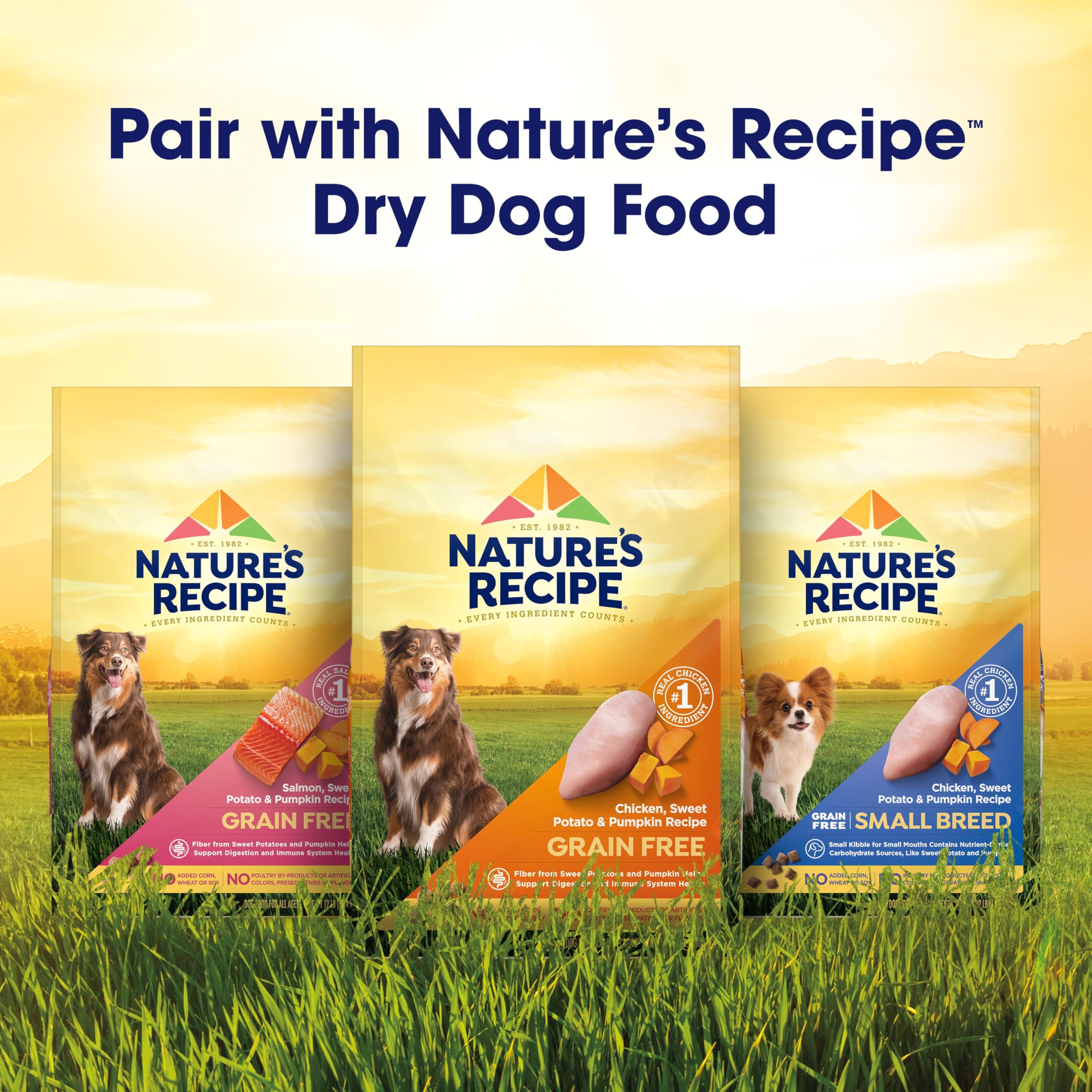 Nature's Recipe échantillon en main pour déjeuner en déplacement, praticité