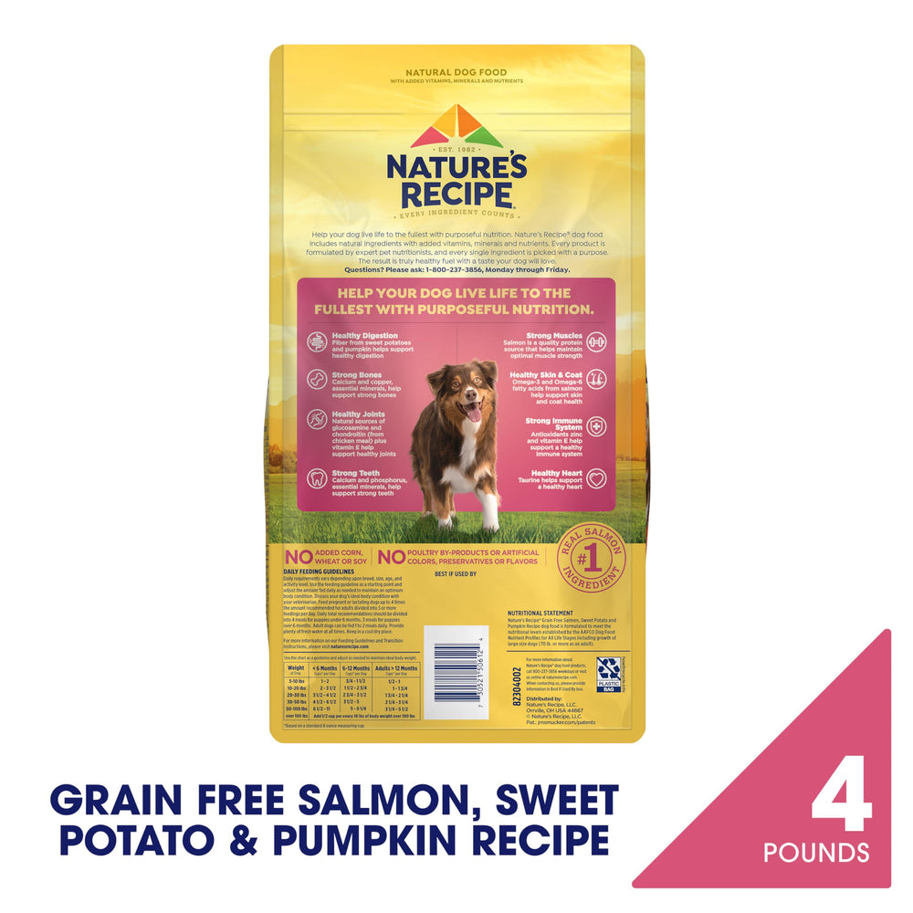 Nature's Recipe gros plan des croquettes montrant texture savoureuse et appétence
