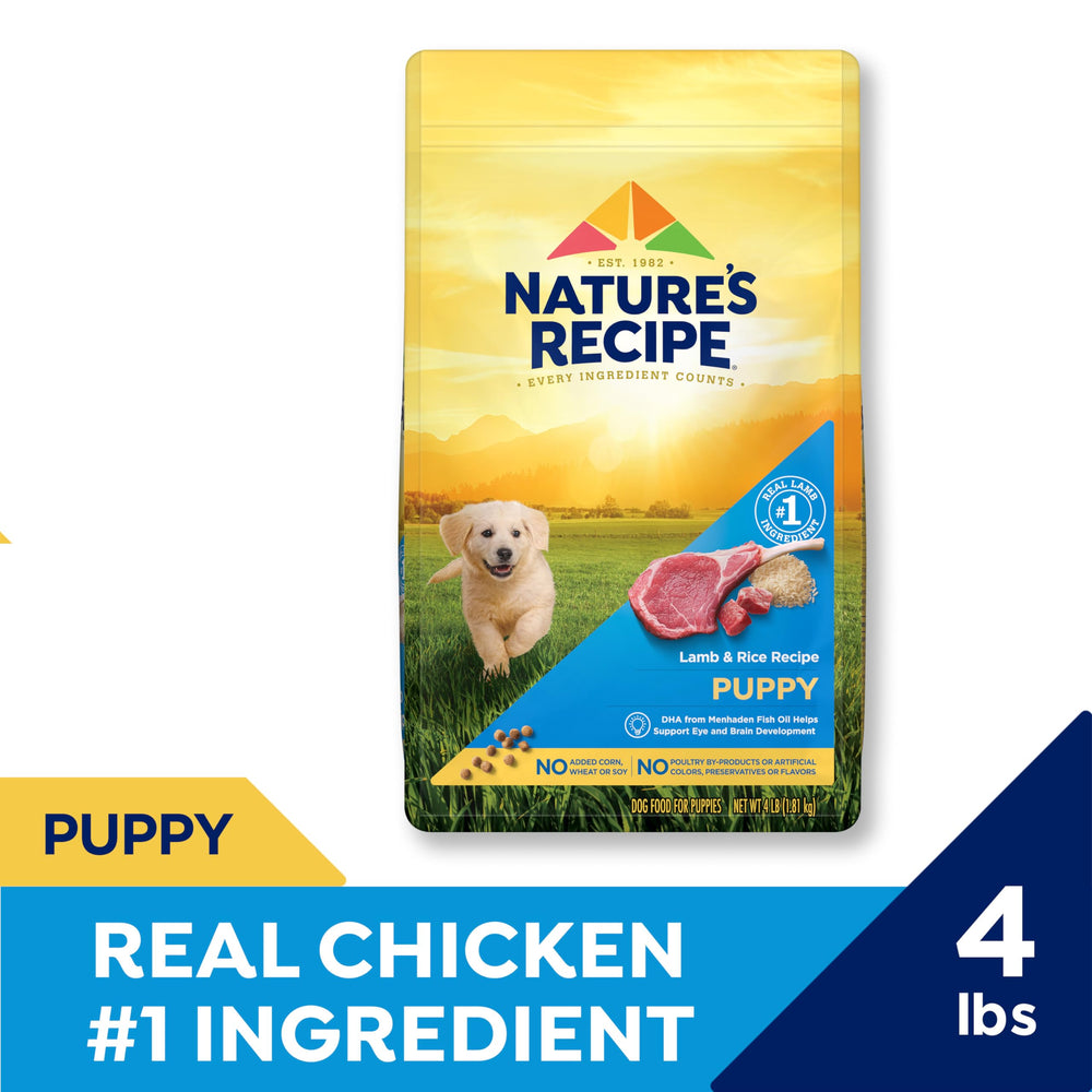 Nature's Recipe gros plan des croquettes avec texture appétissante