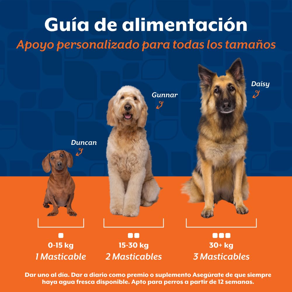 NaturVet chat détendu sur un canapé après supplémentation pour pelage sain