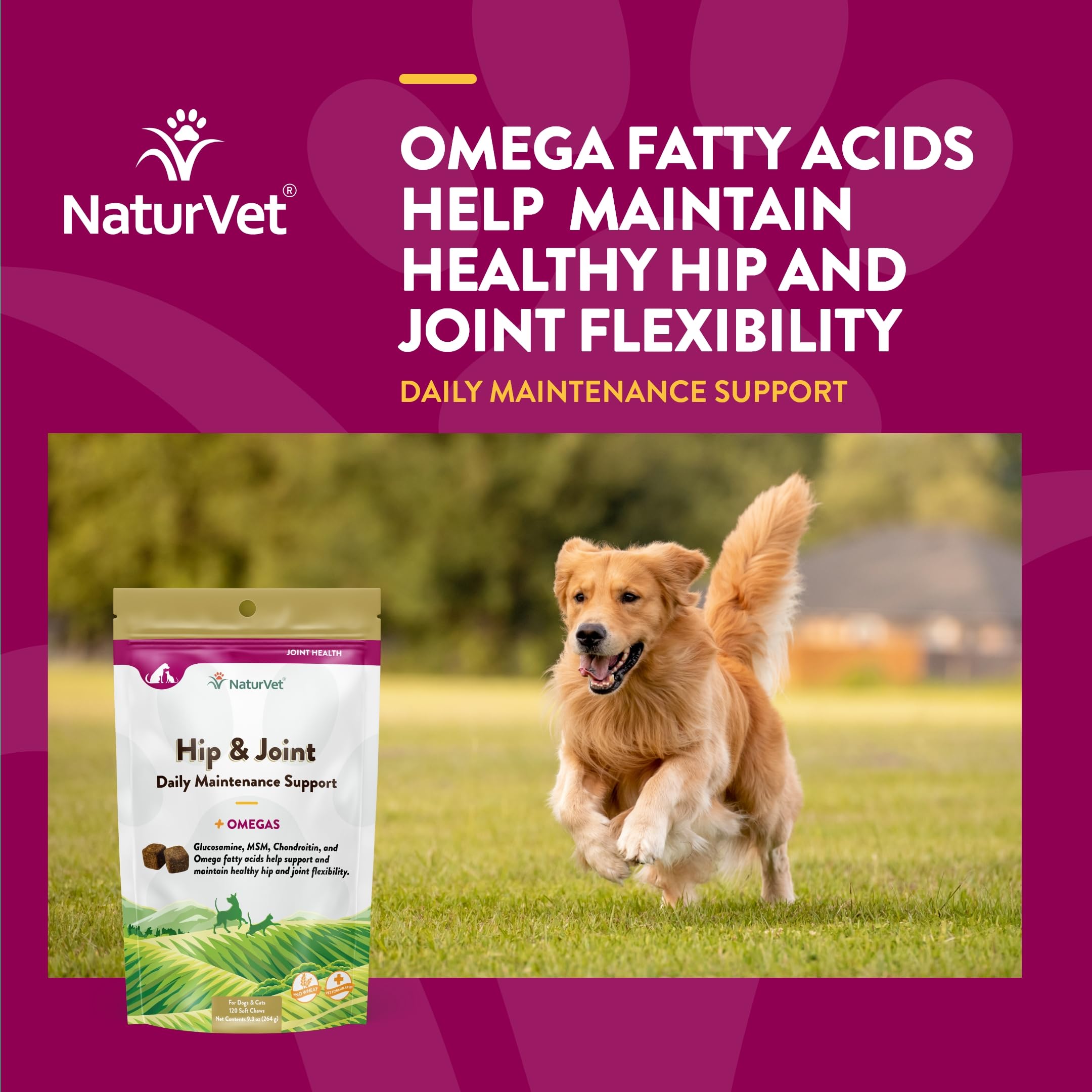 NaturVet chat mangeant une friandise pour soutien articulaire