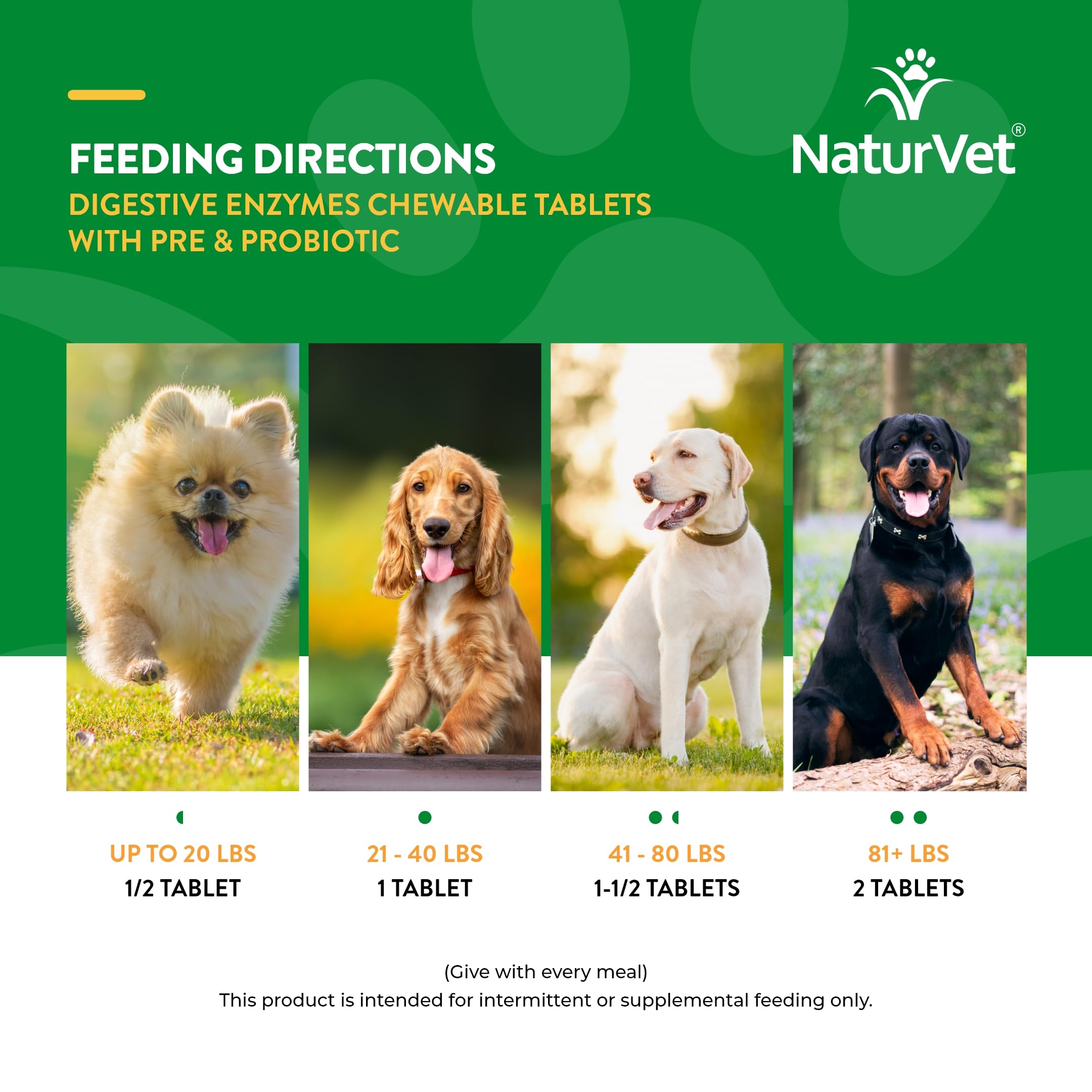 NaturVet chat intéressé par un mastiquable soulignant appétence adaptée