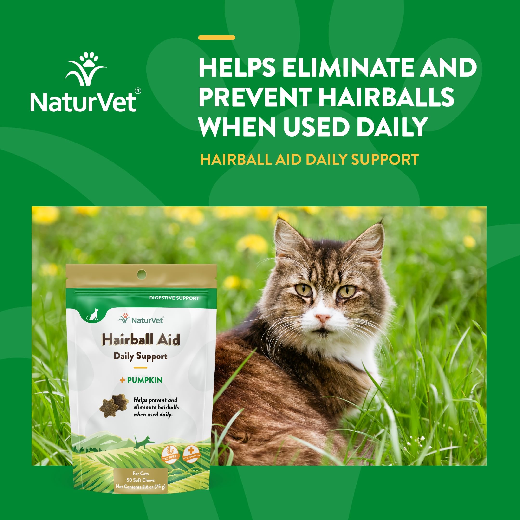 NaturVet chat acceptant le mastic, favorise prévention des boules de poils