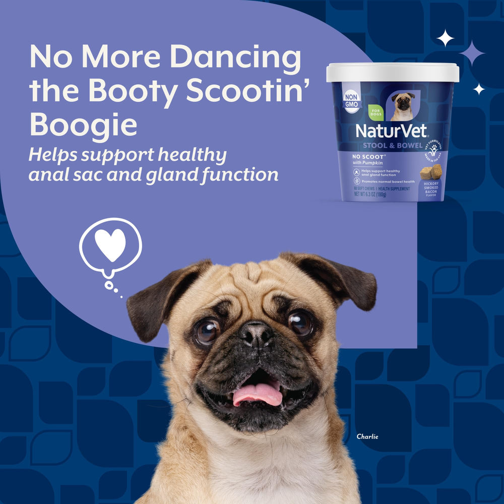 NaturVet soft chew dans la main démontrant taille pratique et dosage simple