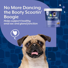 NaturVet soft chew dans la main démontrant taille pratique et dosage simple