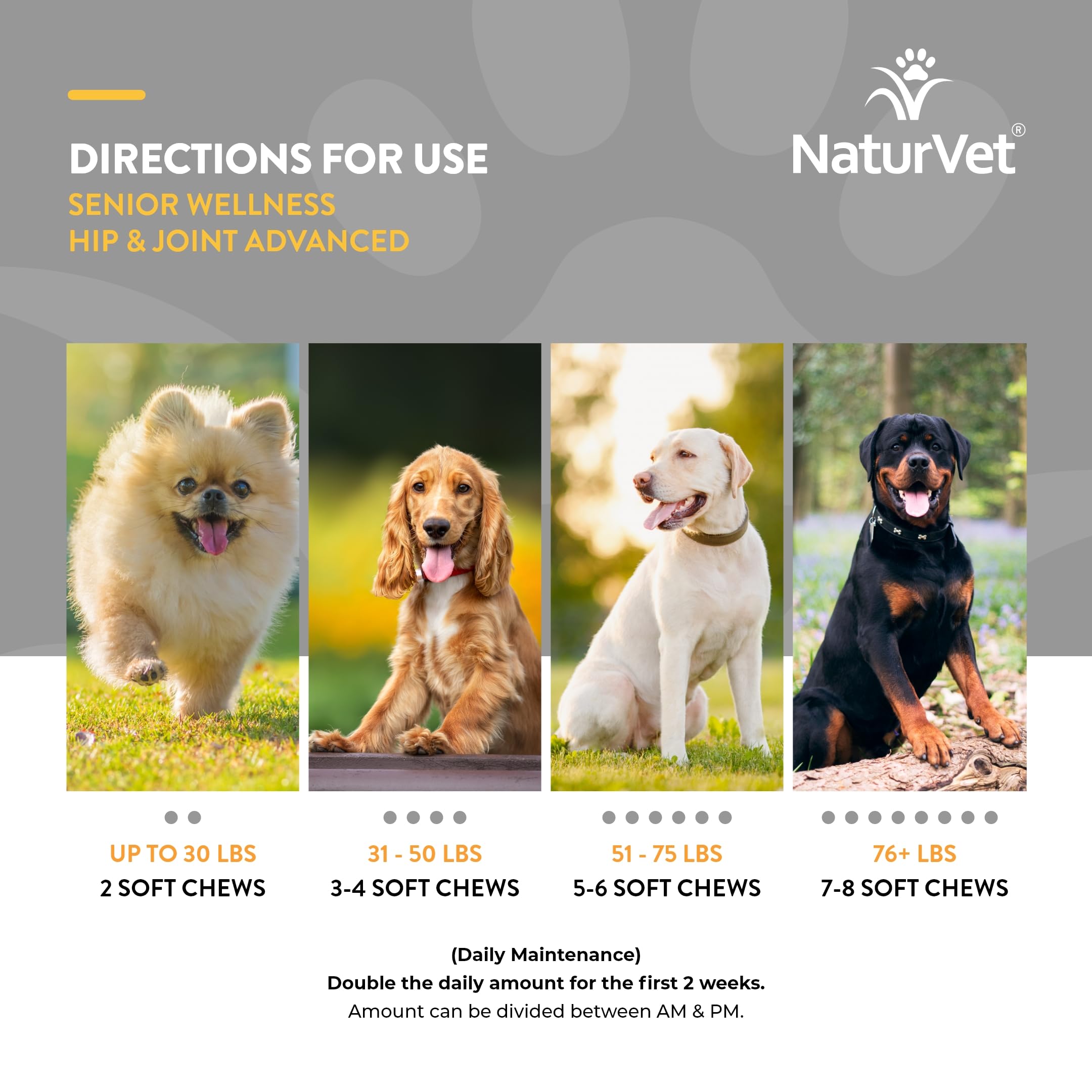 NaturVet chien mange la friandise démontrant acceptation et plaisir