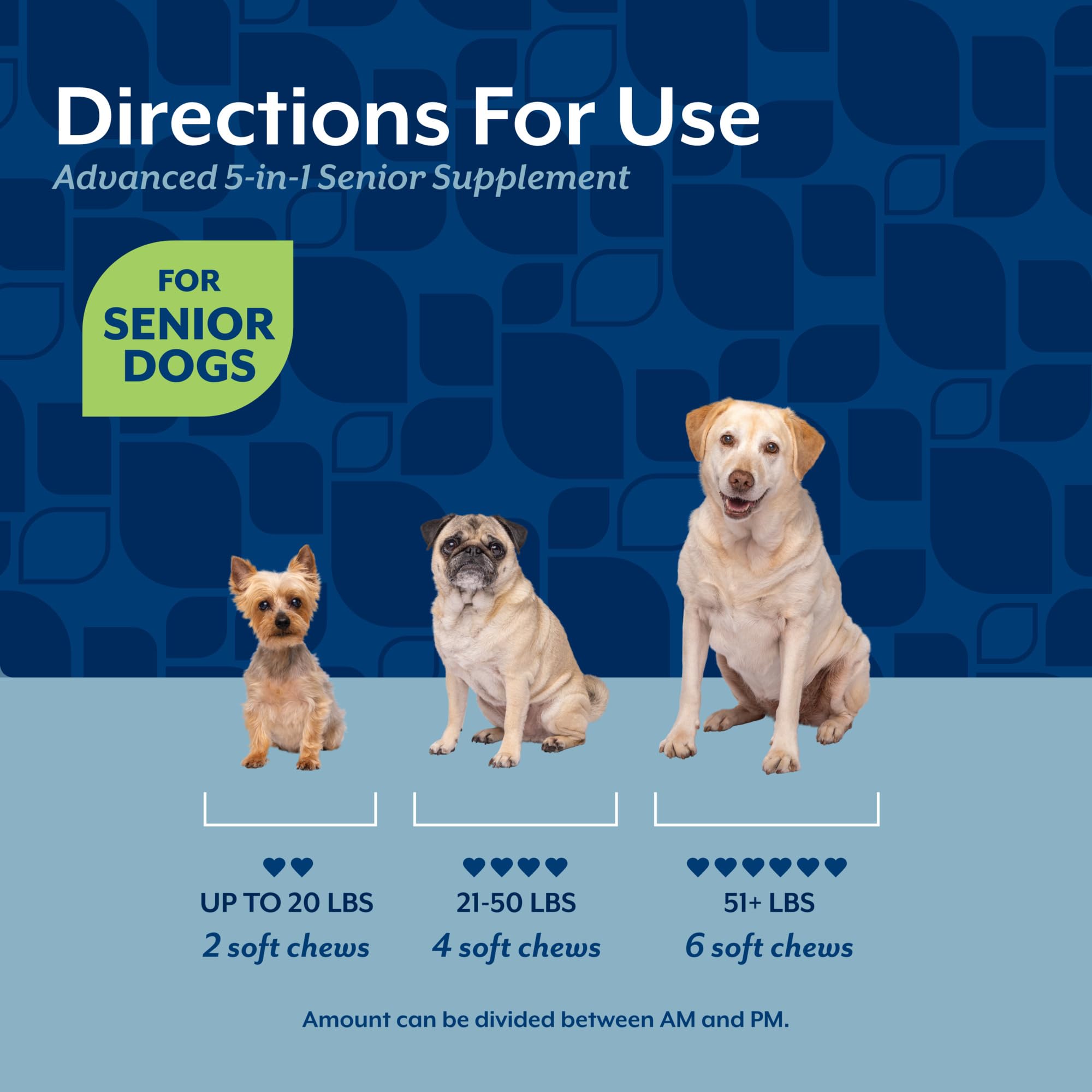 NaturVet chien senior mange la friandise montrant appétence et confort