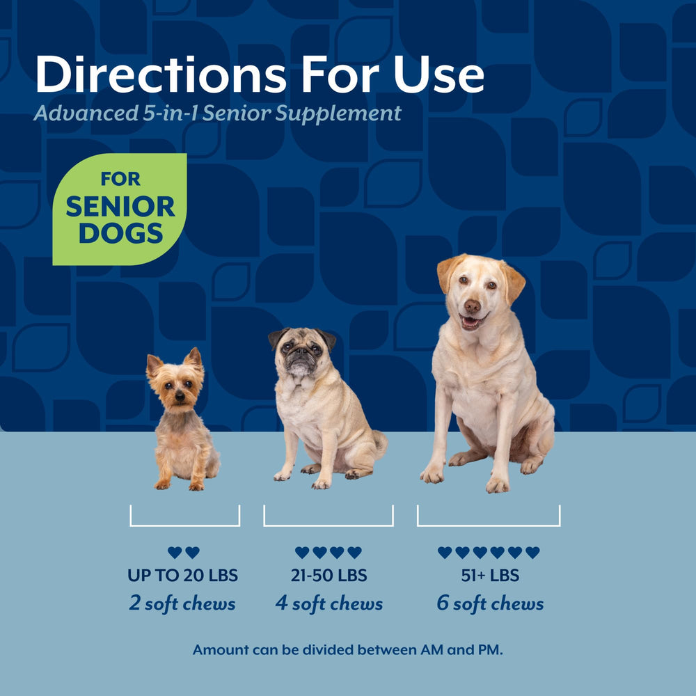 NaturVet chien senior mange la friandise montrant appétence et confort