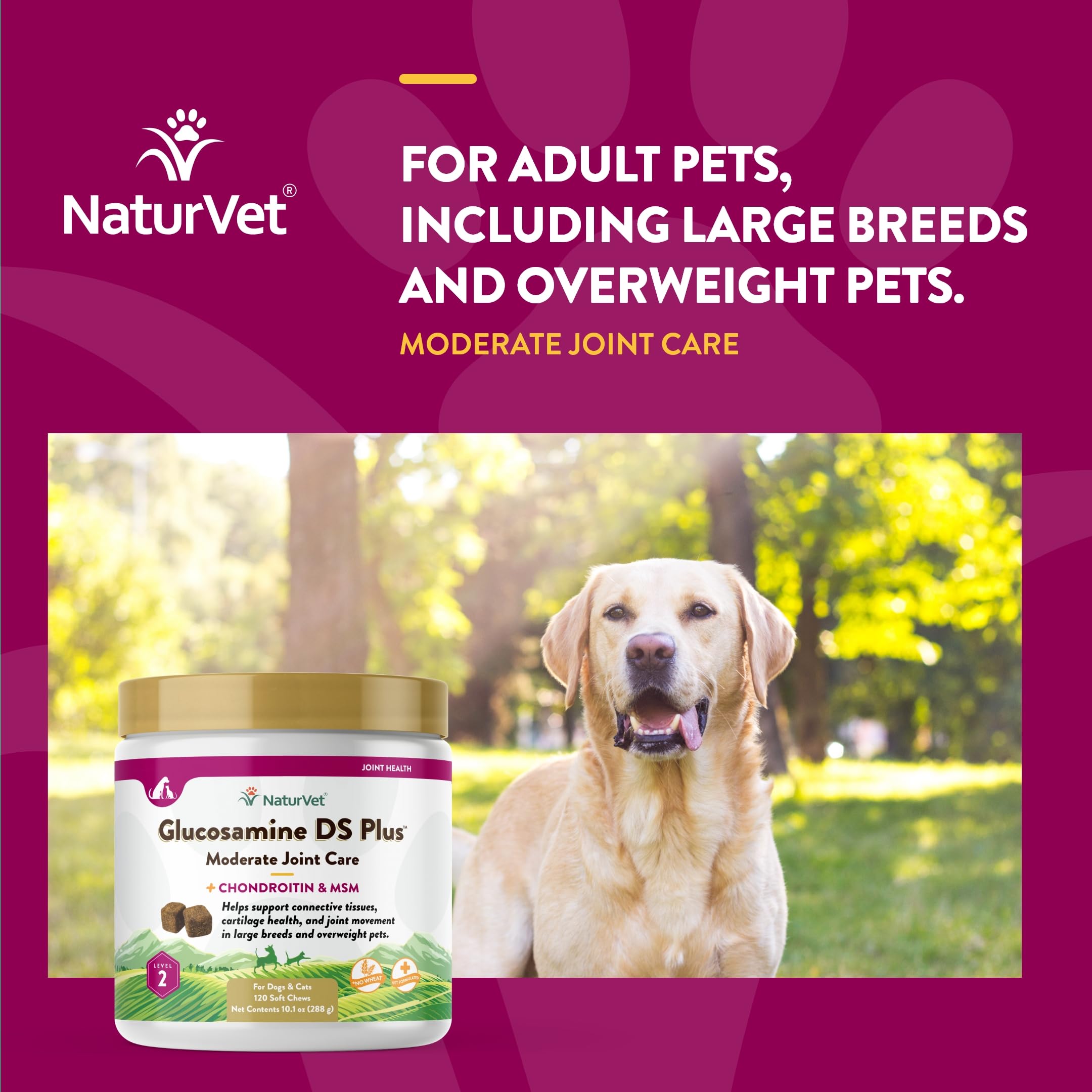 NaturVet chien recevant un chew, démontrant facilité d’administration et plaisir