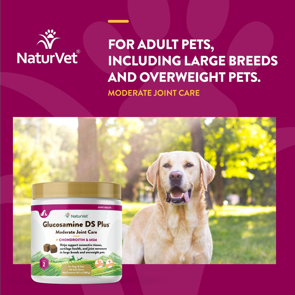 NaturVet chien recevant un chew, démontrant facilité d’administration et plaisir