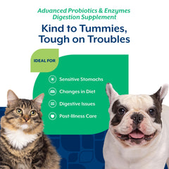 NaturVet supplément ajouté à pâtée de chat pour soutenir l'équilibre intestinal