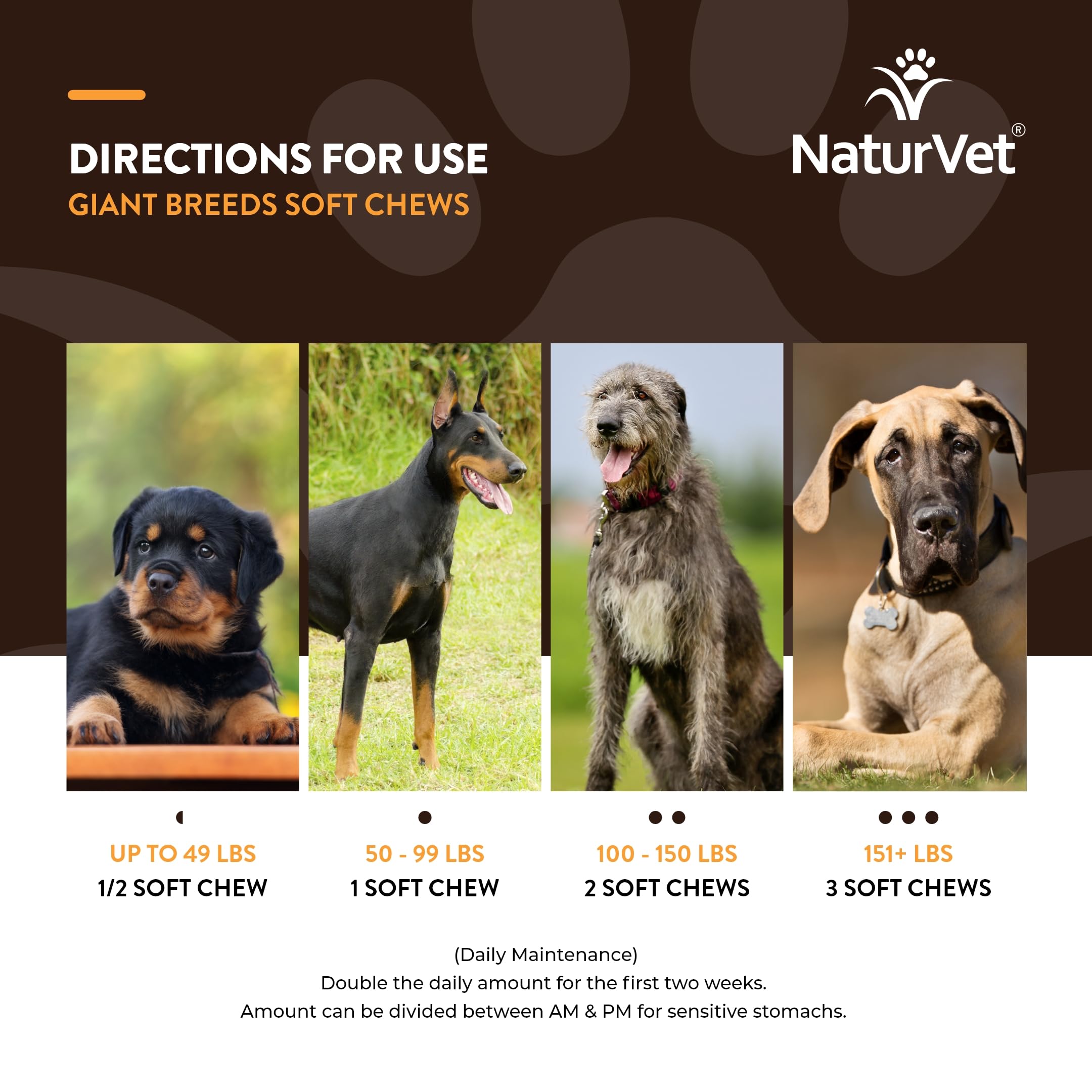 NaturVet étiquette lisible montrant ingrédients clés, transparence produit