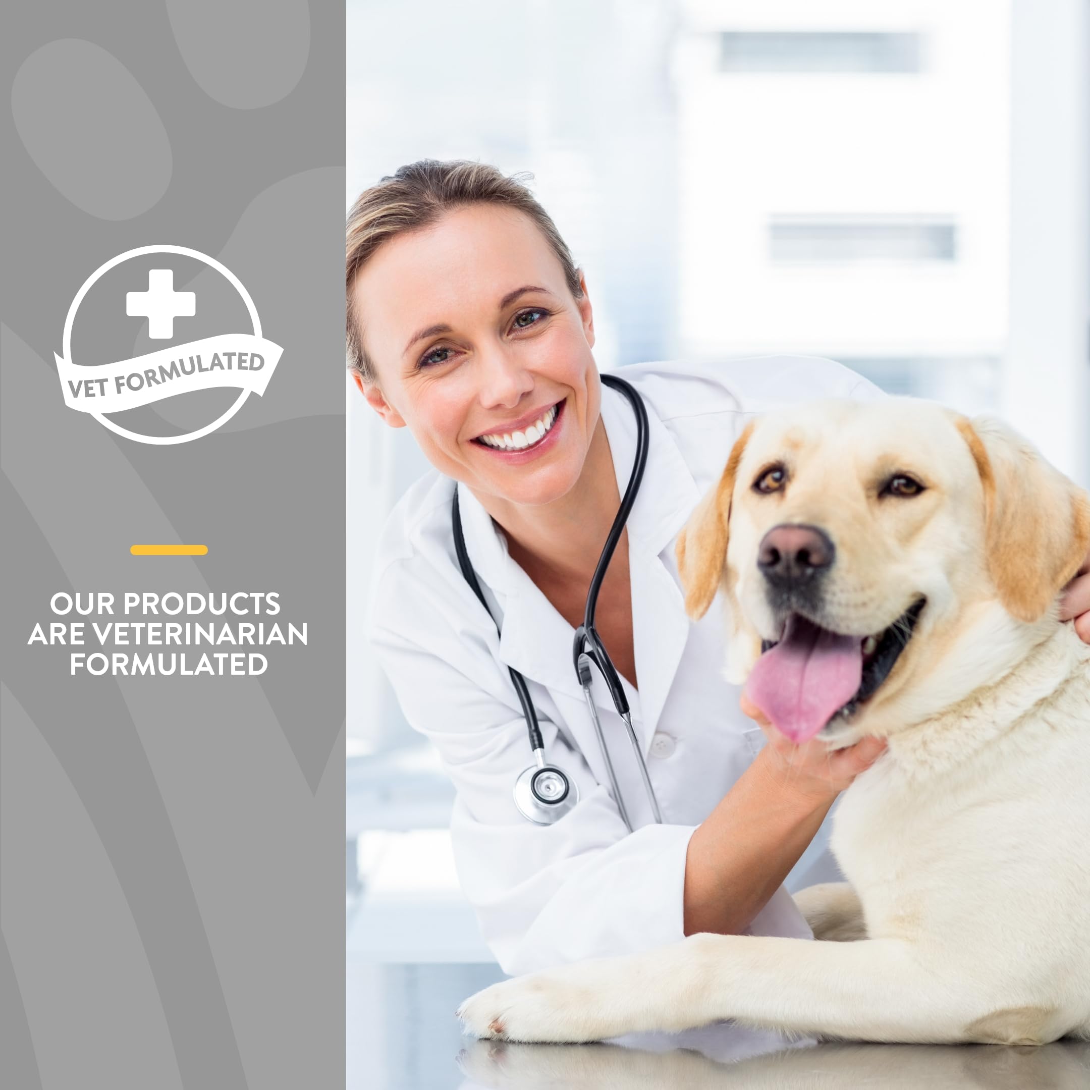 NaturVet étiquette ingrédients lisible mettant en avant formulation vétérinaire