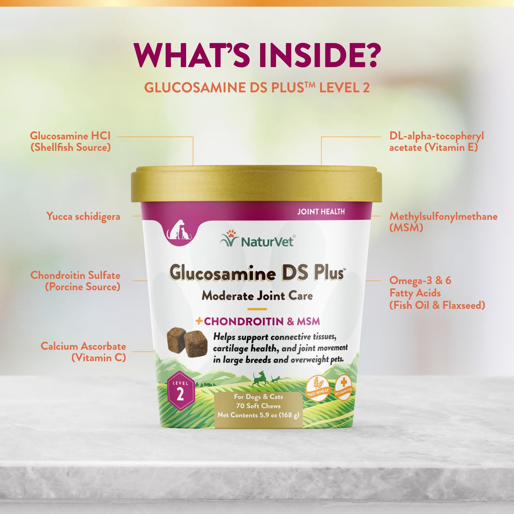 NaturVet étiquette ingrédients listant glucosamine chondroïtine et MSM
