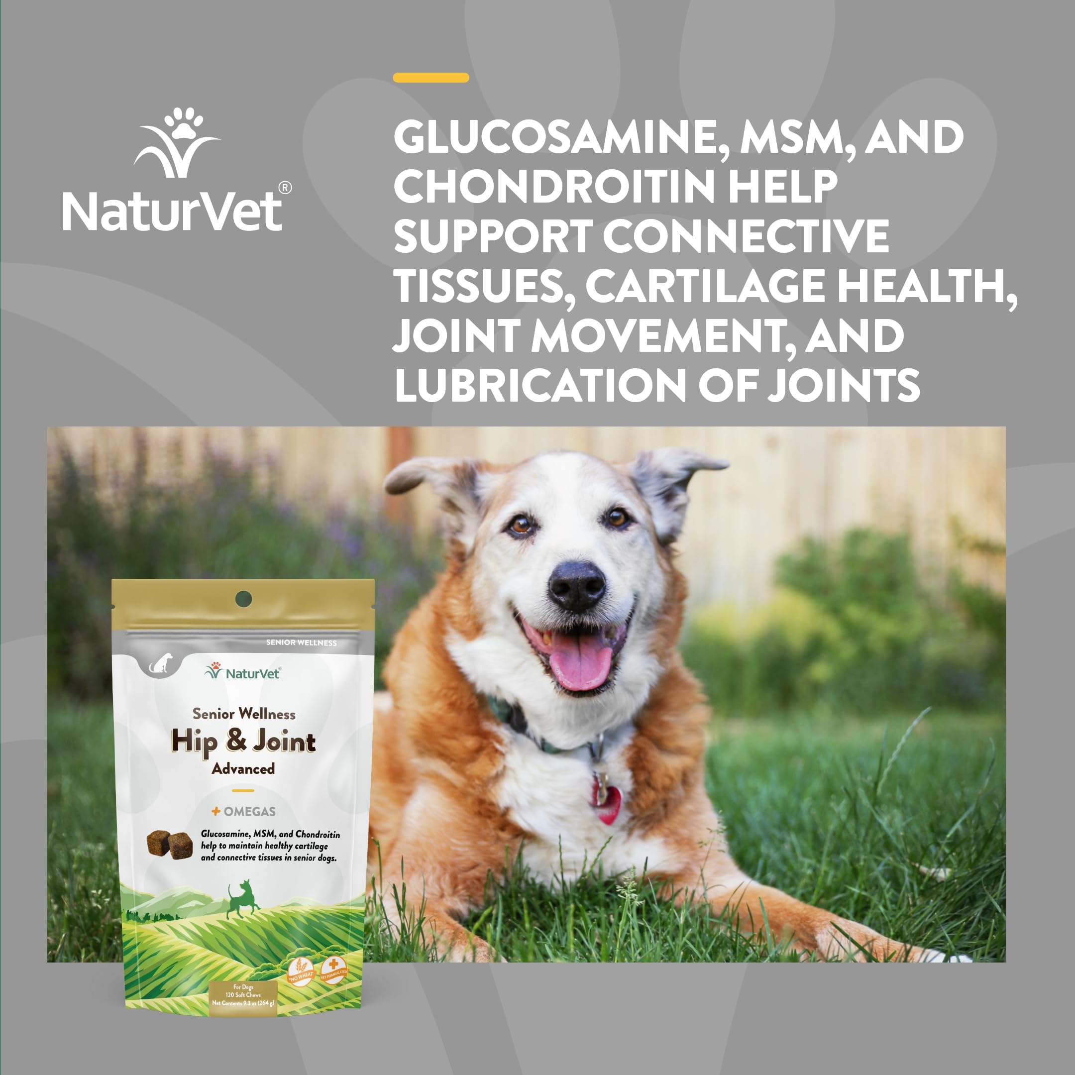 NaturVet friandise tenue en main illustrant portion pratique et goût