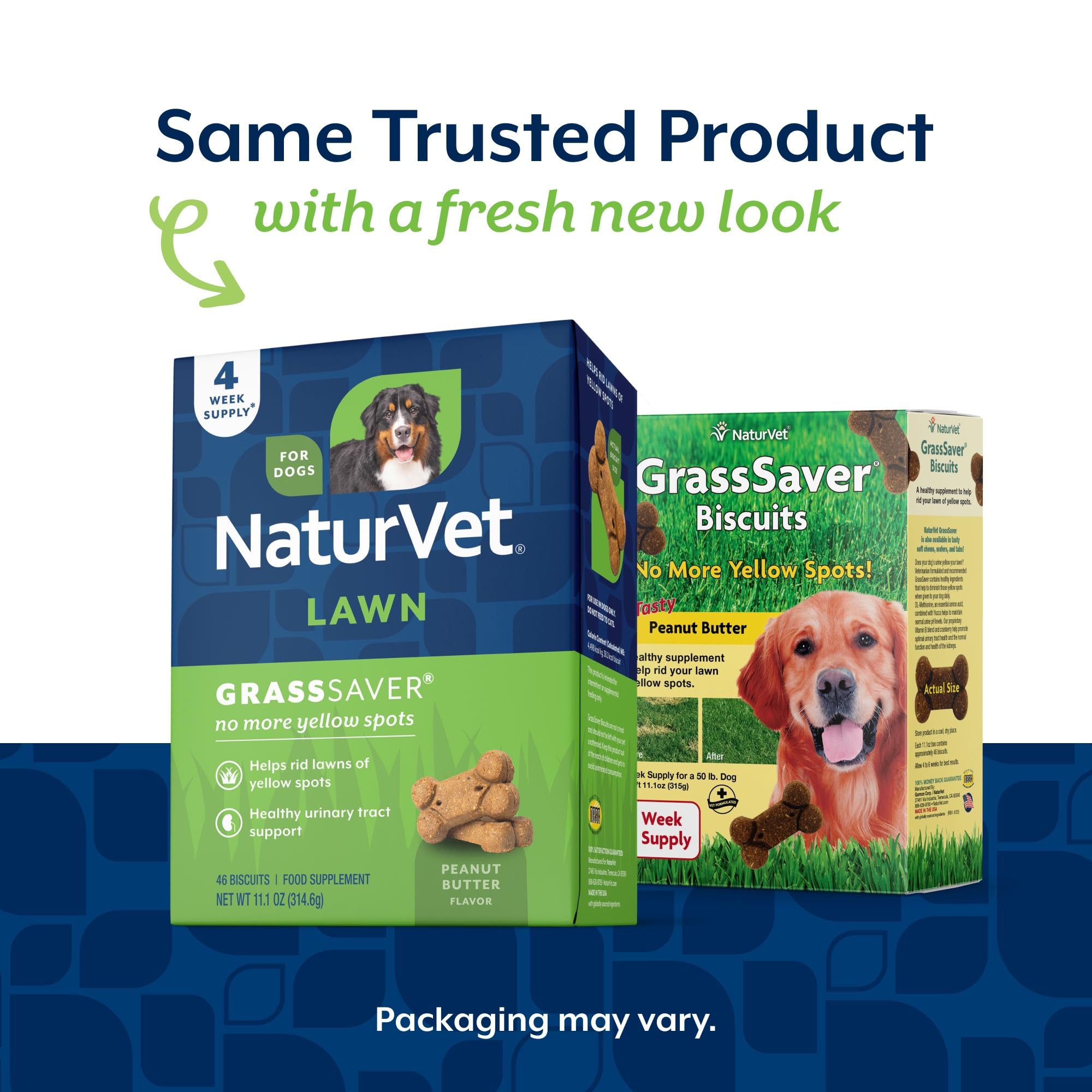 NaturVet gros plan sur texture du biscuit et appétence renforcée
