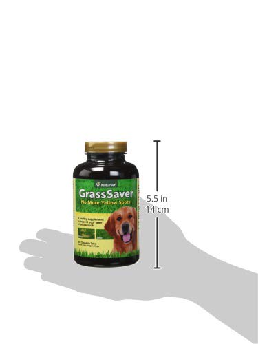 NaturVet comprimé dans la main pour visualiser la taille, dose claire