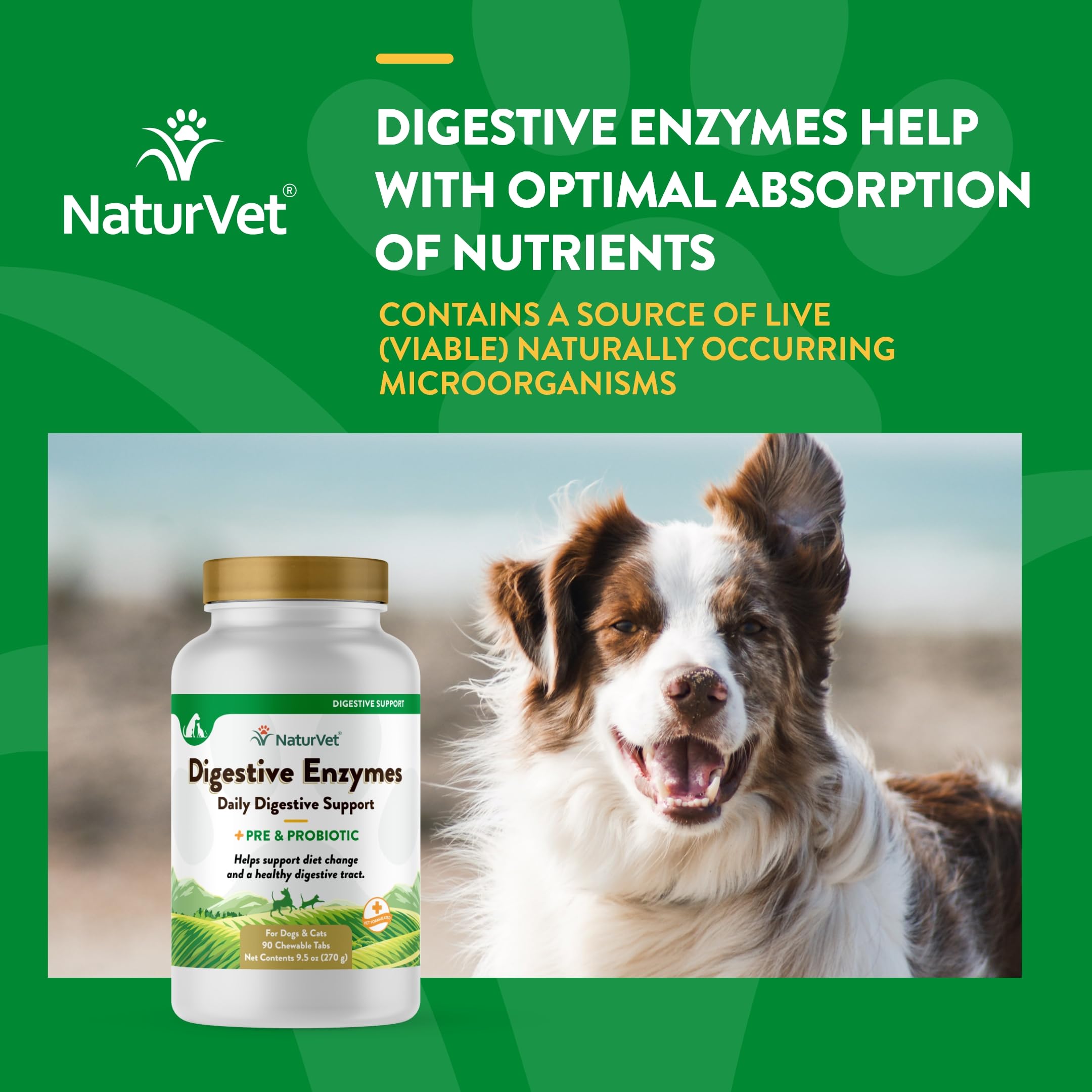 NaturVet étiquette ingrédients affichant enzymes et probiotiques formulés