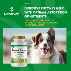 NaturVet étiquette ingrédients affichant enzymes et probiotiques formulés