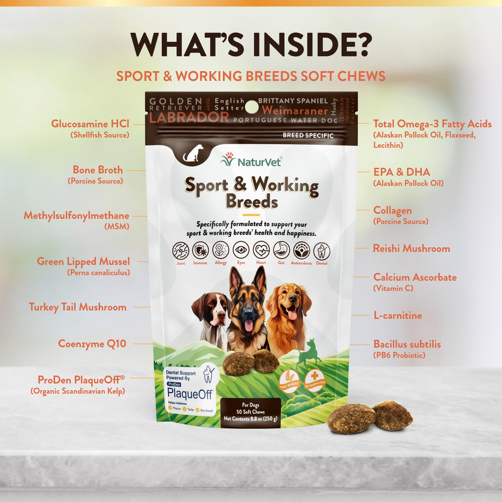 NaturVet tablettes texture visible facilitant administration et acceptation par l'animal