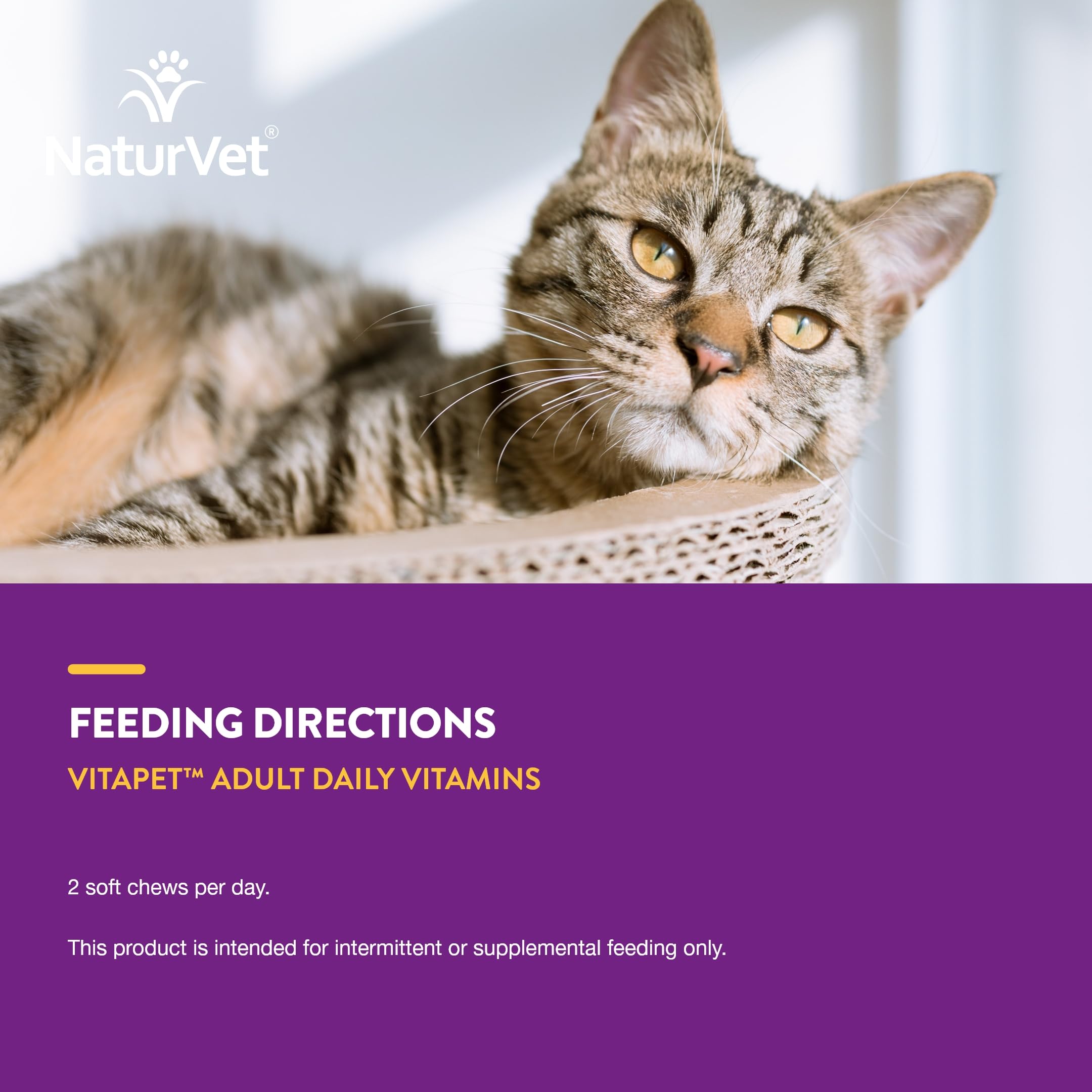 NaturVet chat senior acceptant VitaPet Senior illustrant tolérance et appétence