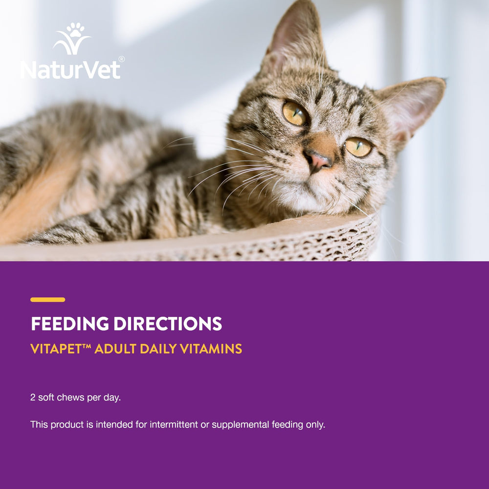 NaturVet chat senior acceptant VitaPet Senior illustrant tolérance et appétence