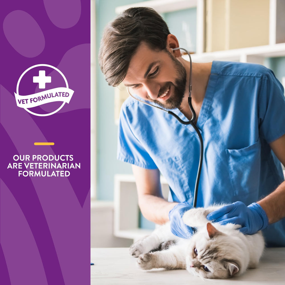 NaturVet étiquette VitaPet Senior affichant ingrédients et garanties qualité