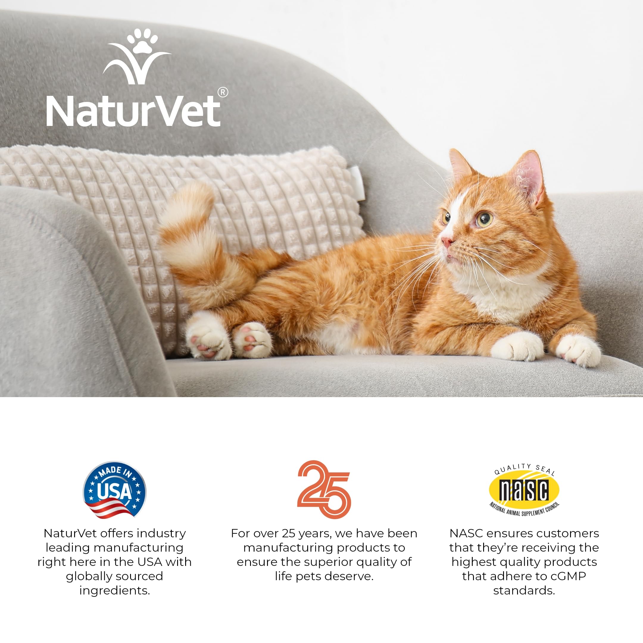 NaturVet scène de vie chat senior sur canapé après prise du complément