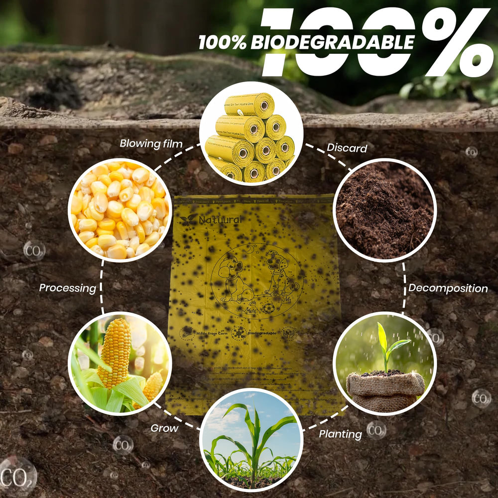 Natuural comparaison taille illustrant le format 9×13 pouces pratique