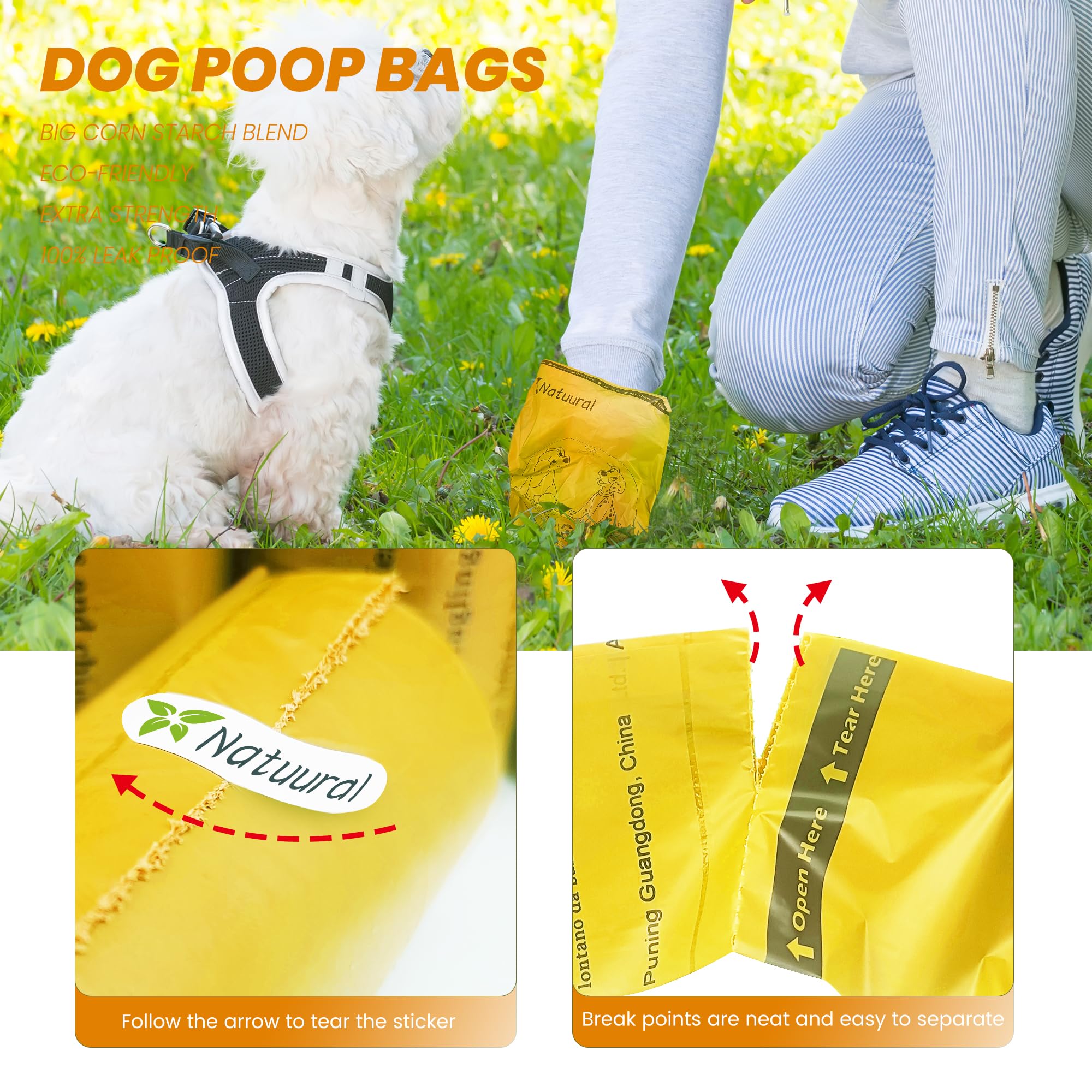 Natuural en usage avec chien pour collecte fiable lors de promenade