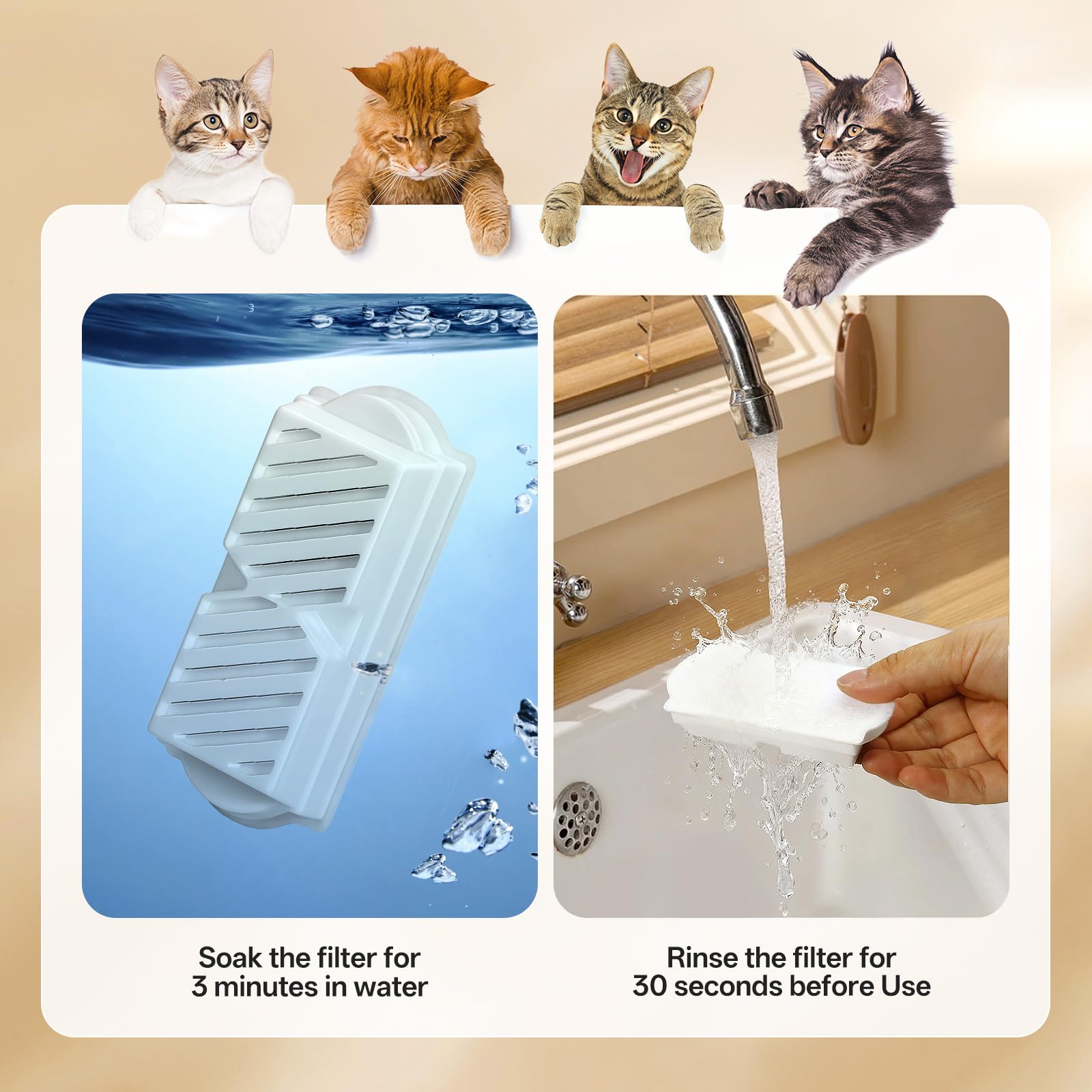 NautyPaws filtre installé dans fontaine céramique assurant eau filtrée
