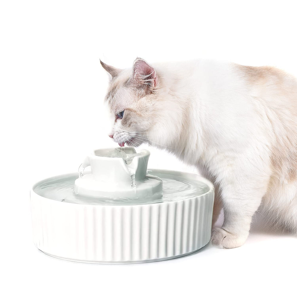 NautyPaws fontaine céramique vue frontale élégante, esthétique et pratique