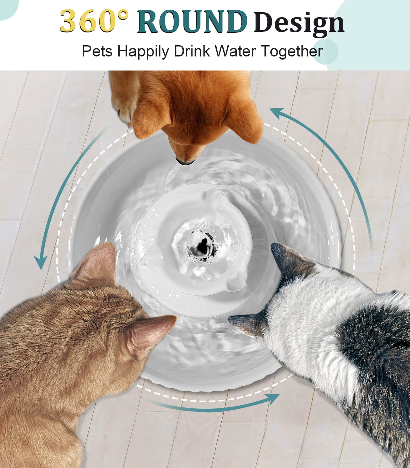 NautyPaws comparaison taille 2,1 L montrant échelle et capacité pratique