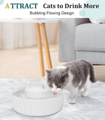 NautyPaws fontaine en usage avec chat buvant, encourage l'hydratation
