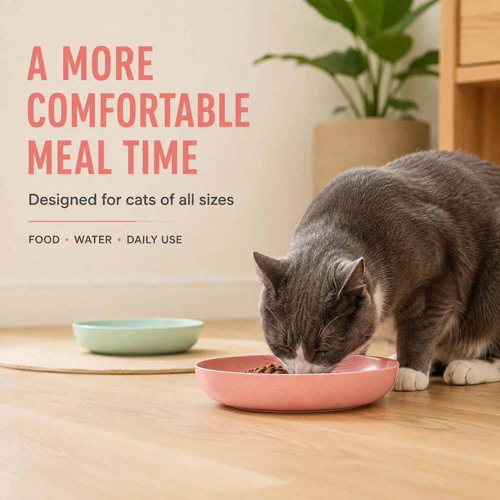 navoraytar vue latérale du bol bas facilitant l'accès au chat