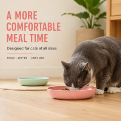 navoraytar vue latérale du bol bas facilitant l'accès au chat