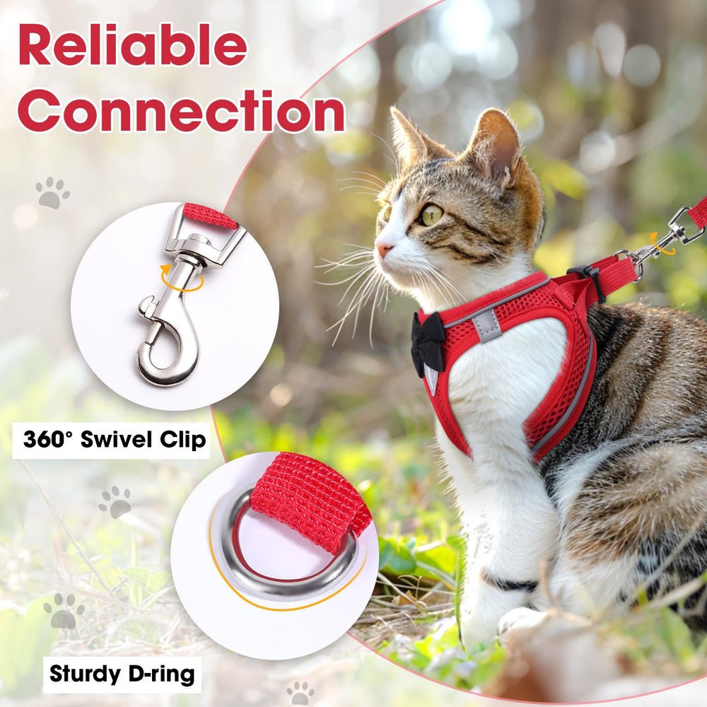 NCMAMA comparaison taille, XS adapté aux très petits chatons