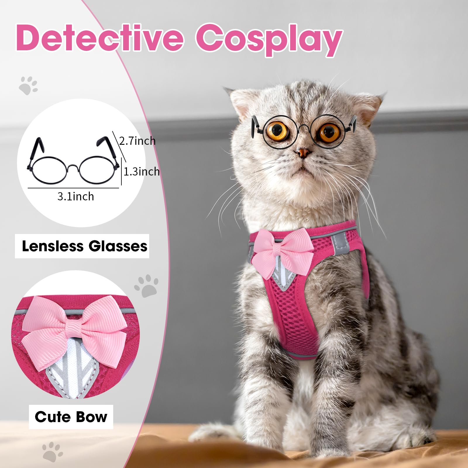NCMAMA comparaison taille XS montrant proportions pour petit chaton
