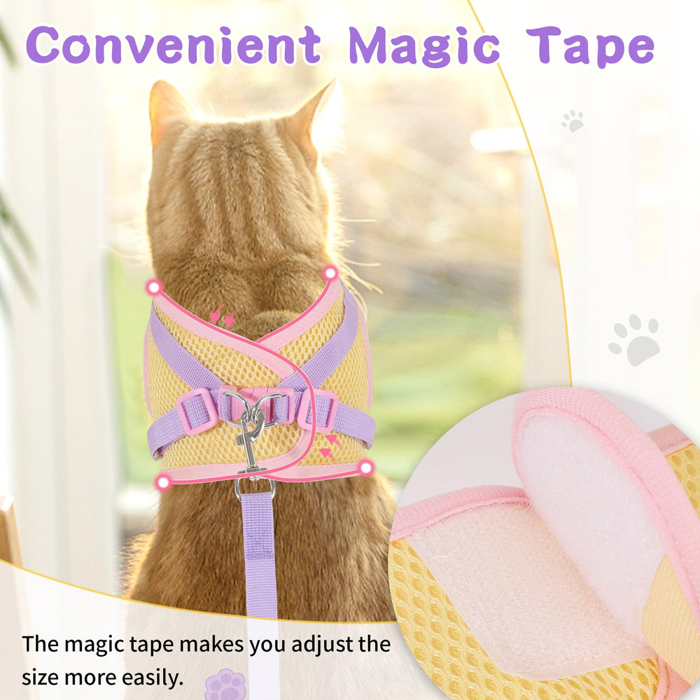 NCMAMA comparaison taille XS illustrant l'ajustement pour petits chats