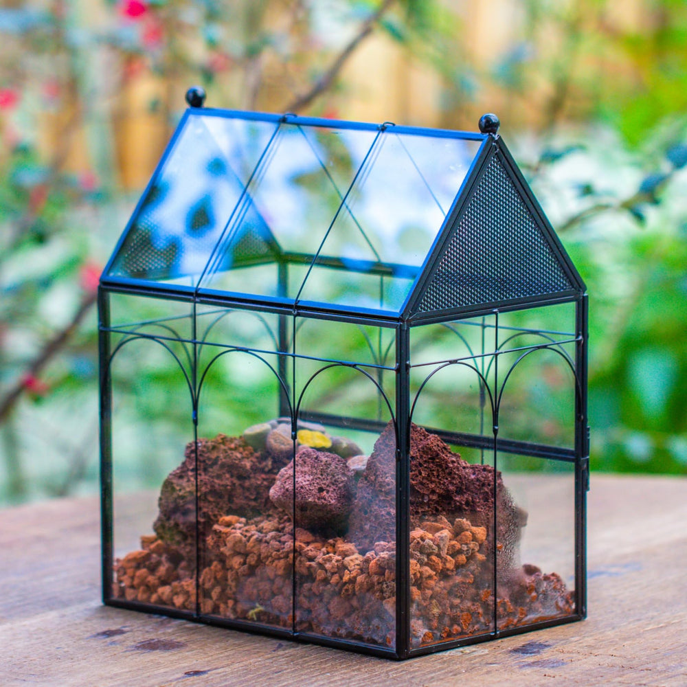 NCYP terrarium avec petit pot caché conservant humidité locale