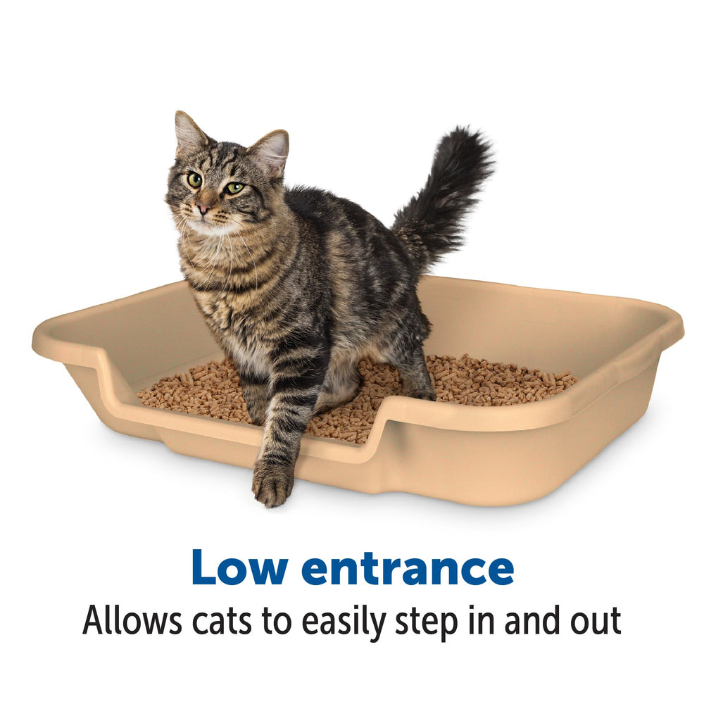 NE14pets comparaison taille du KittyGoHere montrant espace généreux
