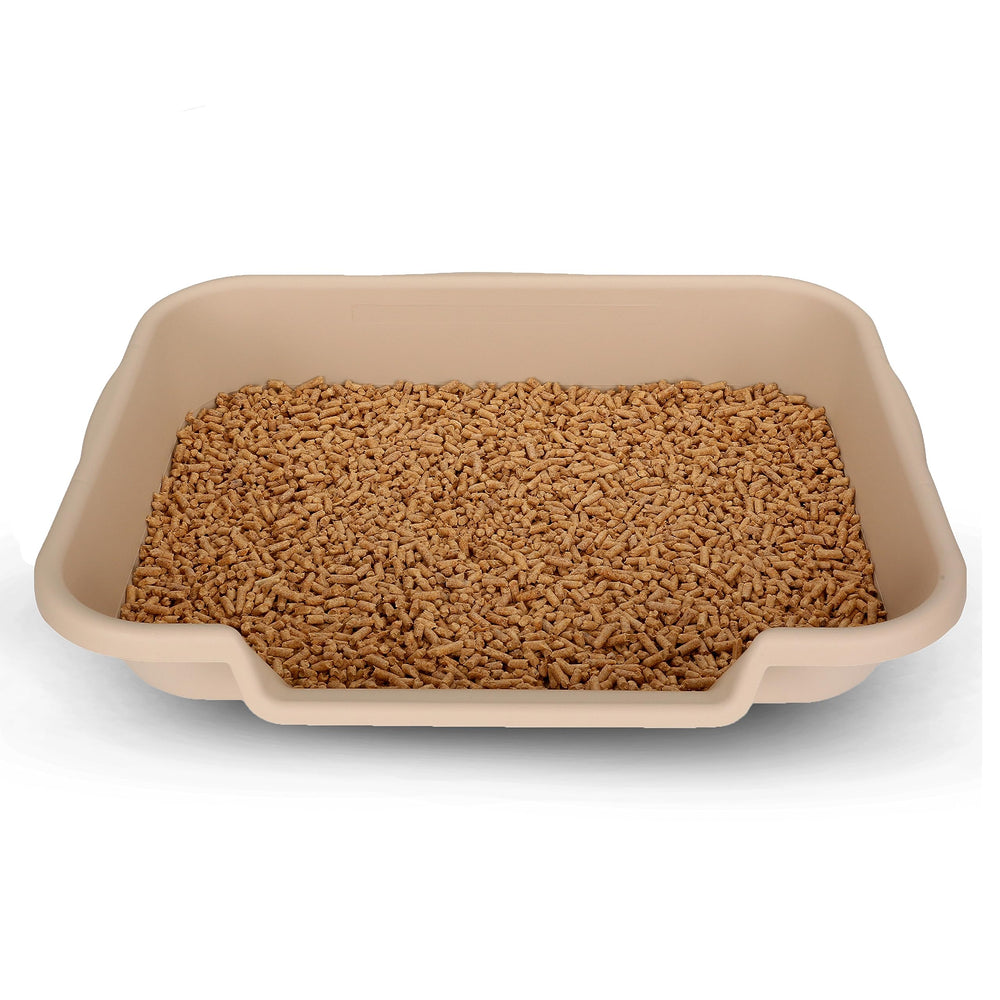 NE14pets texture plastique lisse du KittyGoHere pour nettoyage facile