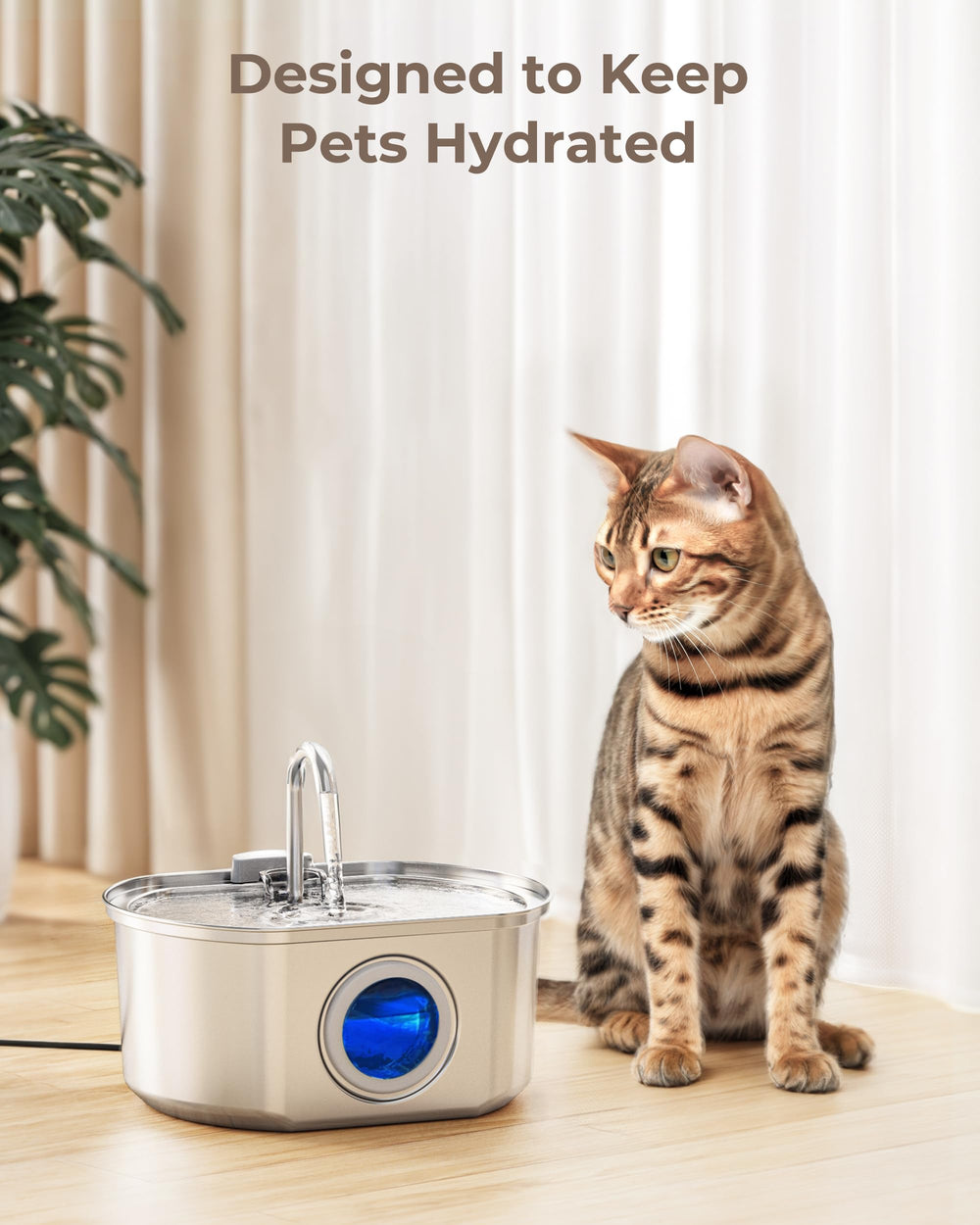Neareal emballage et étiquette informations produit claires