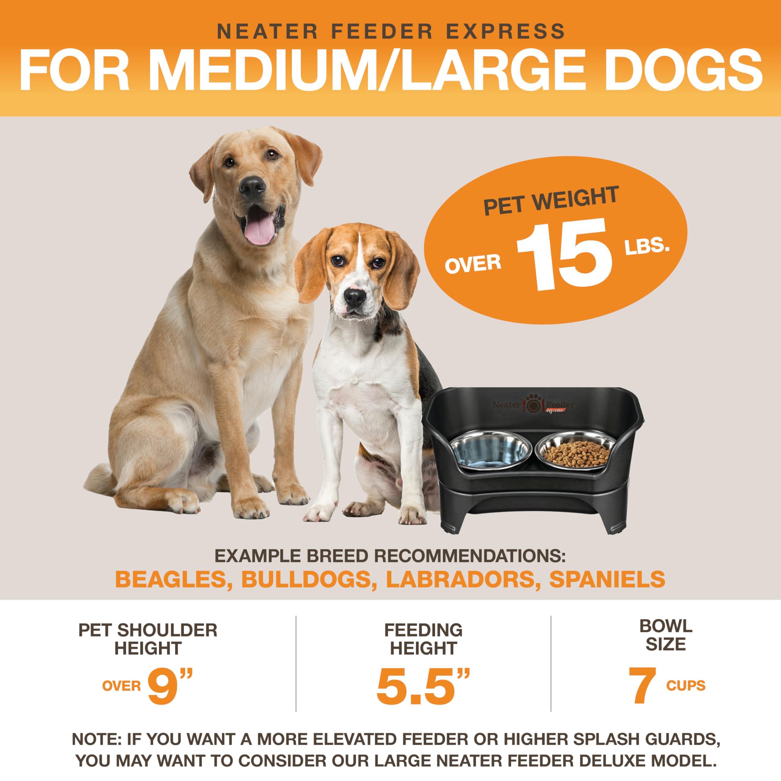 Neater Feeder comparaison d'échelle avec chien moyen montrant la hauteur