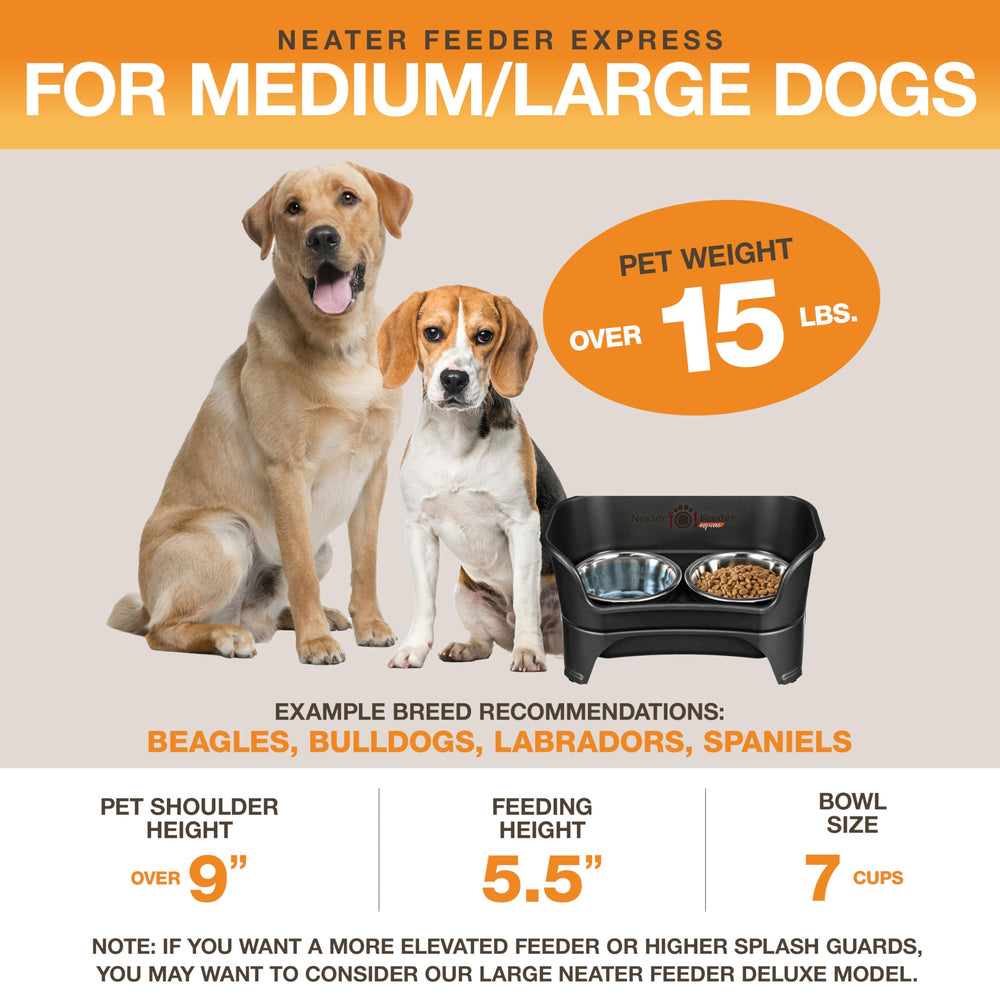 Neater Feeder comparaison d'échelle avec chien moyen montrant la hauteur