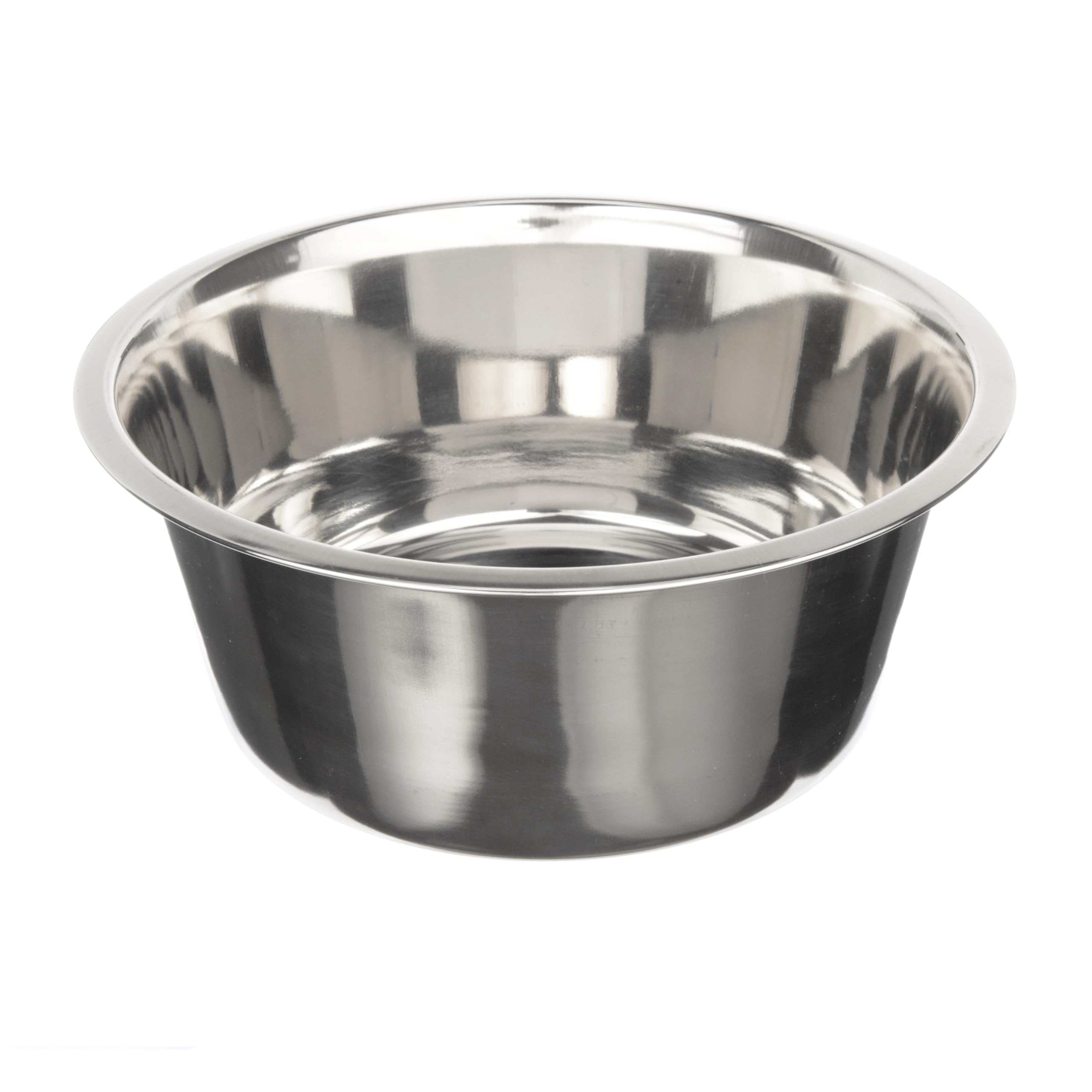Neater Pet Brands bol face avant montrant construction solide et durabilité
