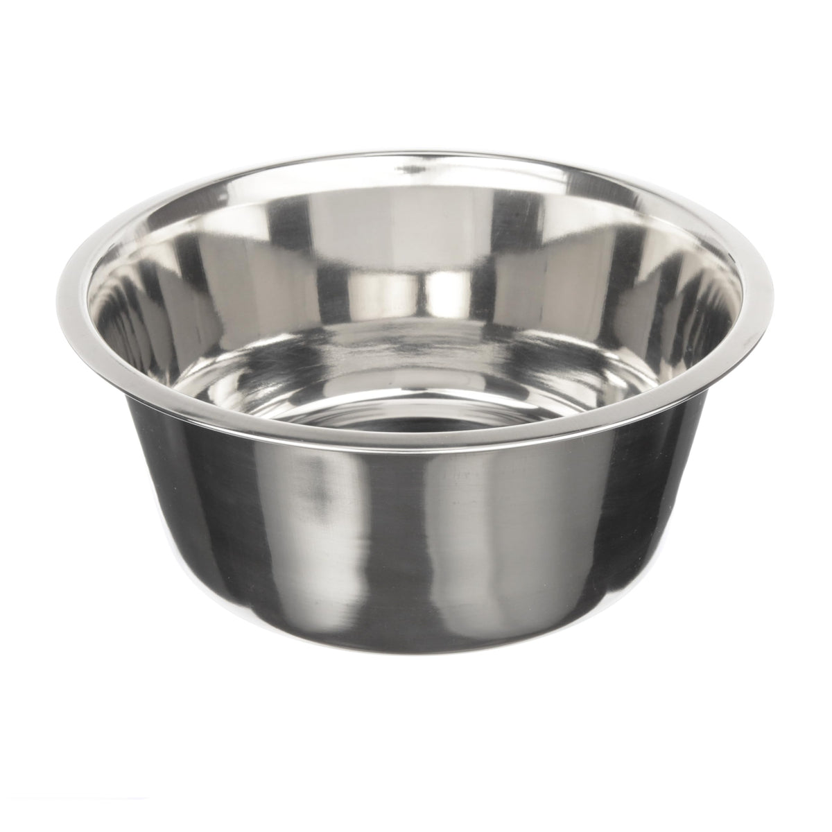 Neater Pet Brands bol face avant montrant construction solide et durabilité